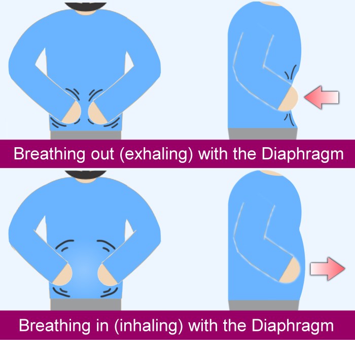 Breathing exercise yoga techniques poses stress sleep relaxation health pranayama deep management relief position breathe relaxing healthy body technique through Breathing exercise yoga techniques poses stress sleep relaxation health pranayama deep management relief position breathe relaxing healthy body technique through
